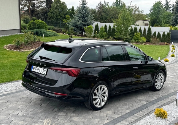 Skoda Octavia cena 105900 przebieg: 52700, rok produkcji 2021 z Bodzentyn małe 562